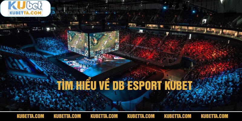 DB esport kubet